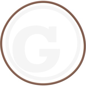 GRANIT Oring 11351628