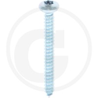 GRANIT Blachowkręt z łbem soczewkowym 4,2x38 4877981107 - Sklep PoltechParts