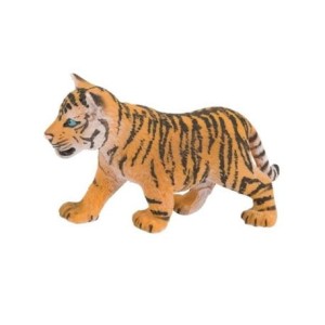 Młody tygrys bengalski