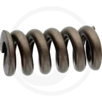 Walterscheid Sprężyna dociskowa 395080746 - Sklep PoltechParts