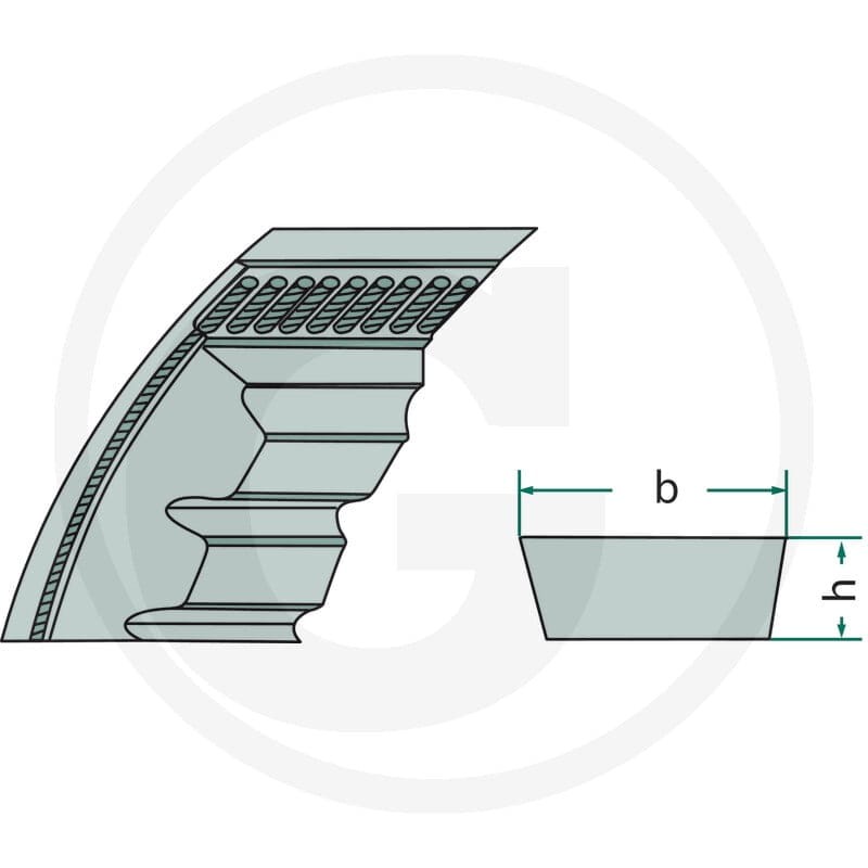 Optibelt Breitkeilriemen 12340595 - Sklep PoltechParts