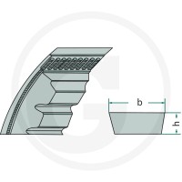 Optibelt Breitkeilriemen 12340595 - Sklep PoltechParts