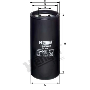 Hengst Część zamienna 866H300W03