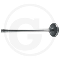 GRANIT Zawór wydechowy 38019481 - Sklep PoltechParts