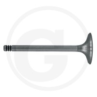 GRANIT Zawór wydechowy 38060073 - Sklep PoltechParts