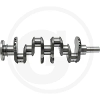 GRANIT Wał korbowy 38017990 - Sklep PoltechParts