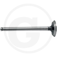 GRANIT Zawór wydechowy 38015499 - Sklep PoltechParts