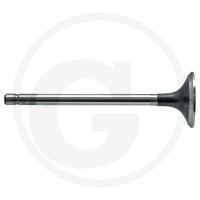GRANIT Zawór wydechowy 38017757 - Sklep PoltechParts