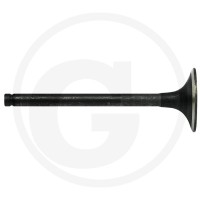 GRANIT Zawór ssący 38010020 - Sklep PoltechParts
