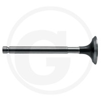 GRANIT Zawór wydechowy 38003076 - Sklep PoltechParts