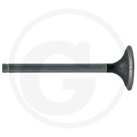 GRANIT Zawór ssący 38023127 - Sklep PoltechParts