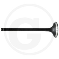 GRANIT Zawór wydechowy 38017131 - Sklep PoltechParts