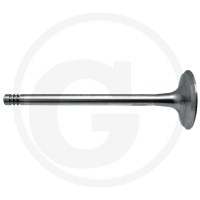 GRANIT Zawór ssący 38004545 - Sklep PoltechParts