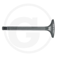GRANIT Zawór wydechowy 38006039 - Sklep PoltechParts