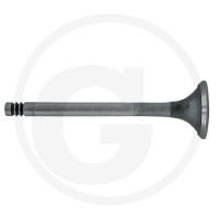 GRANIT Zawór wydechowy 38060078 - Sklep PoltechParts