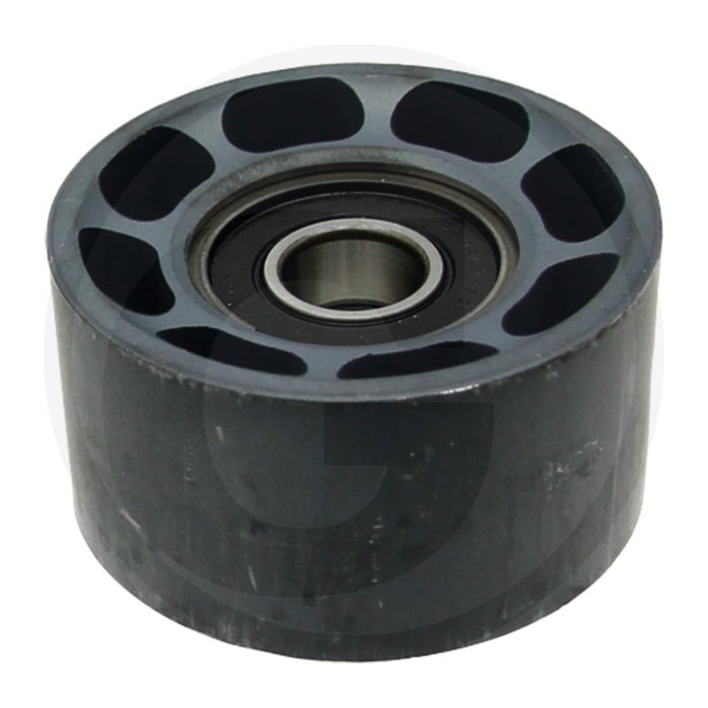 Dayco Rolka zwrotna 8620002087