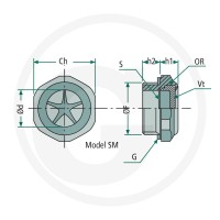 Miselli Wskaźnik poziomu oleju 85002062 - Sklep PoltechParts