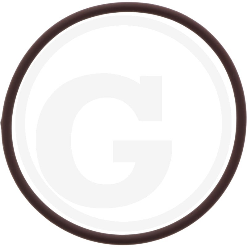 GRANIT O-RING 70806755