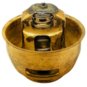 Termostat 700TS109