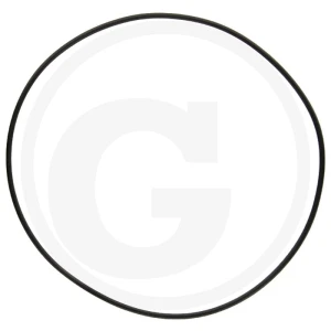 Comet Oring 6701210034500