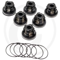 Annovi Reverberi Zestaw zaworów 6702370 - Sklep PoltechParts