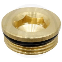 Braglia Zatyczka 670200170239 - Sklep PoltechParts