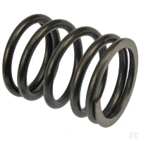 Sprężyna zaworu głowicy | poltechparts.pl