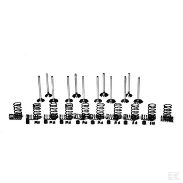 Zestaw zaworów | poltechparts.pl