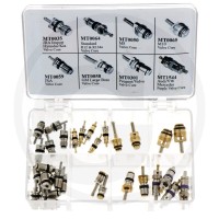 AKS-Dasis Zestaw zaworów Schradera 65299022 - Sklep PoltechParts