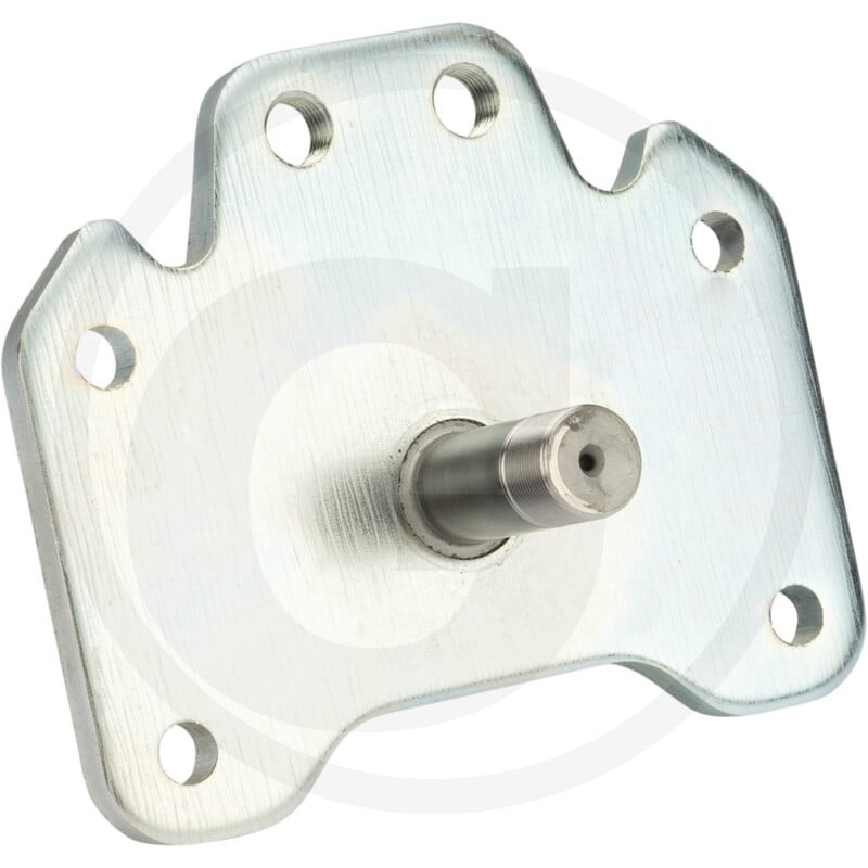 LODI Grundplatte inkl Bolzen D. 20 65402935