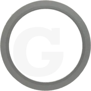 ZF Część zamienna 5450630000197