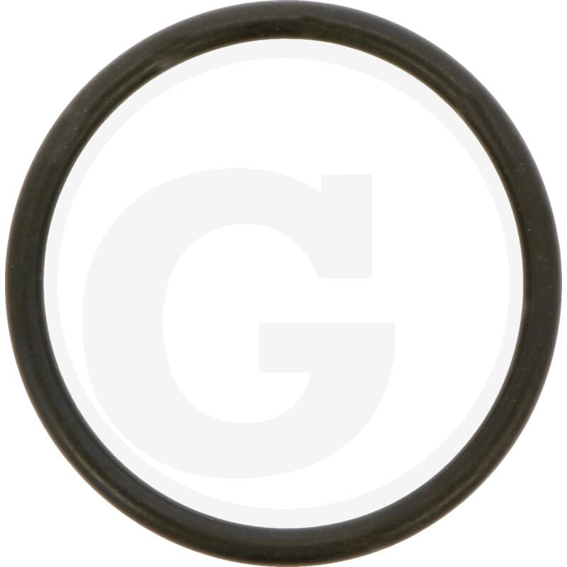 ZF Oring 5450634303417