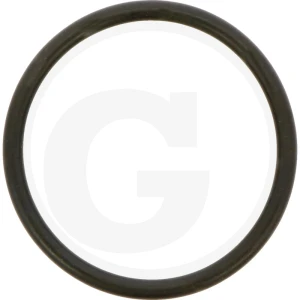 ZF Oring 5450634303417