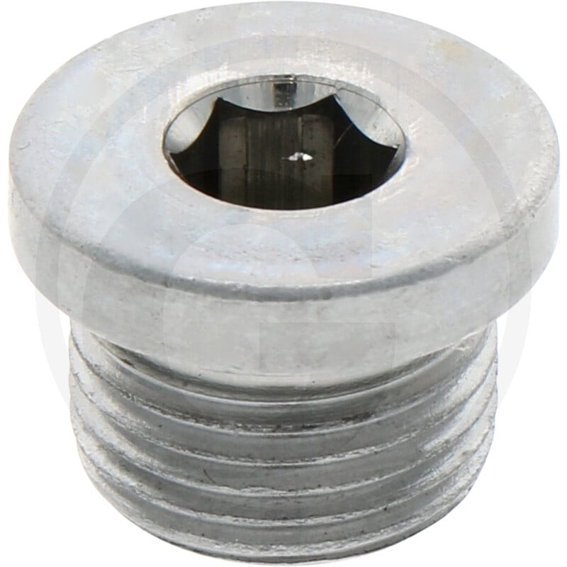 ZF Oring, śruba zamykająca 5450636302014