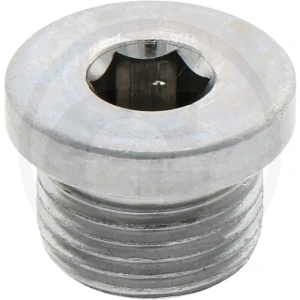 ZF Oring, śruba zamykająca 5450636302014