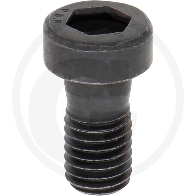 ZF Śruba z łbem walcowym 5450636102041