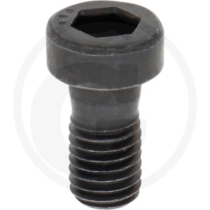 ZF Śruba z łbem walcowym 5450636102041
