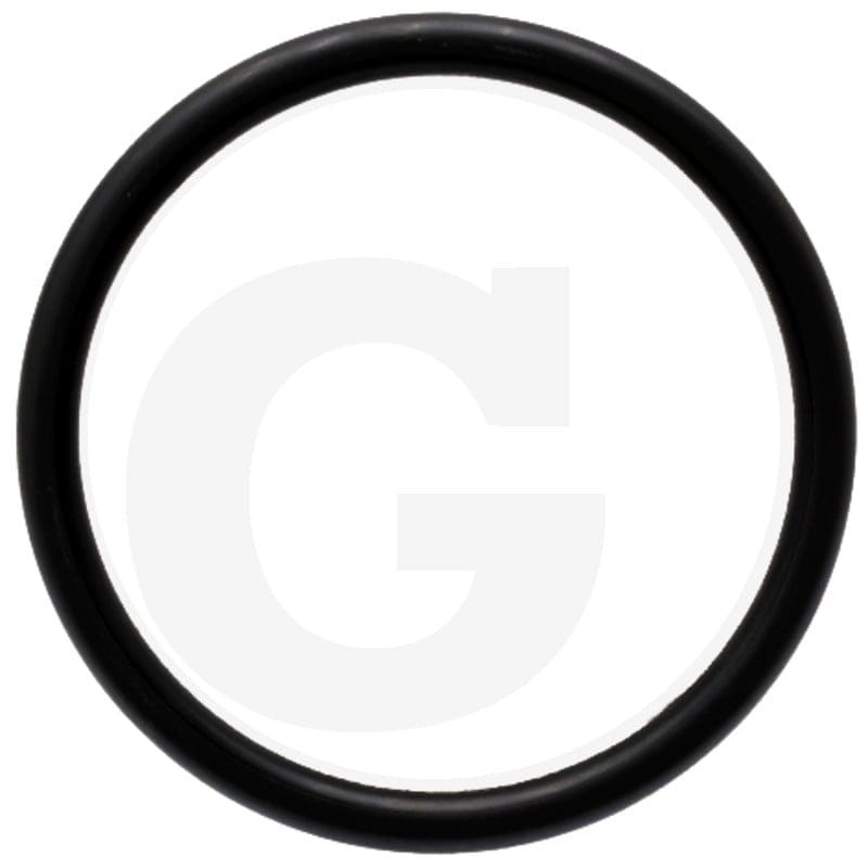 ZF Oring 5450734303031