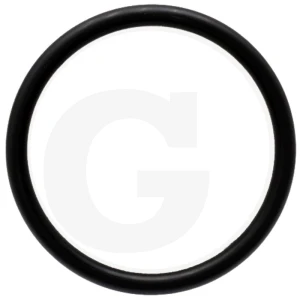 ZF Oring 5450734303031