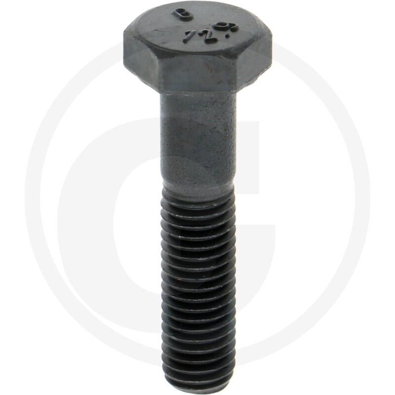 ZF Śruba zabezpieczająca 5450636010665