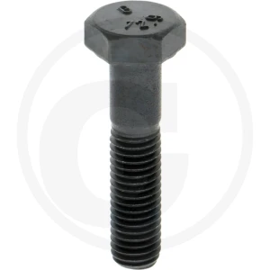 ZF Śruba zabezpieczająca 5450636010665