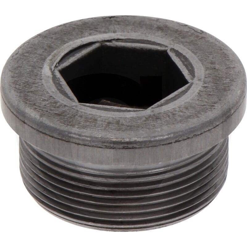 ZF Śruba zamykająca 5450636302018