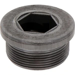 ZF Śruba zamykająca 5450636302018