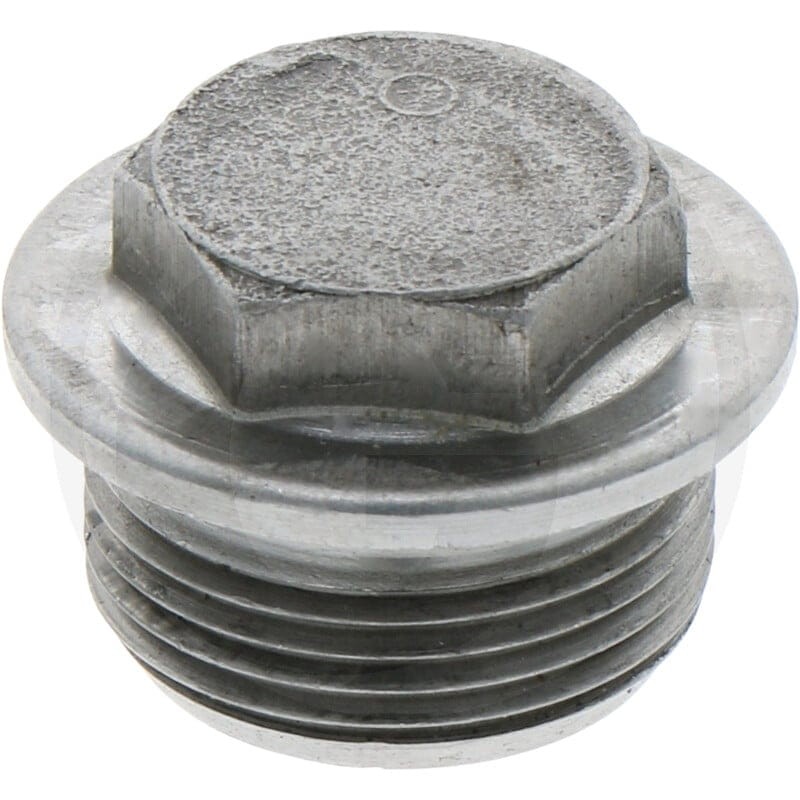 ZF Oring, śruba zamykająca 5450736304017