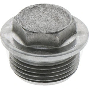 ZF Oring, śruba zamykająca 5450736304017