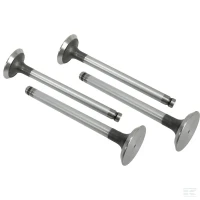 Zawór ssący | poltechparts.pl