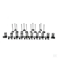 Zestaw zaworów | poltechparts.pl