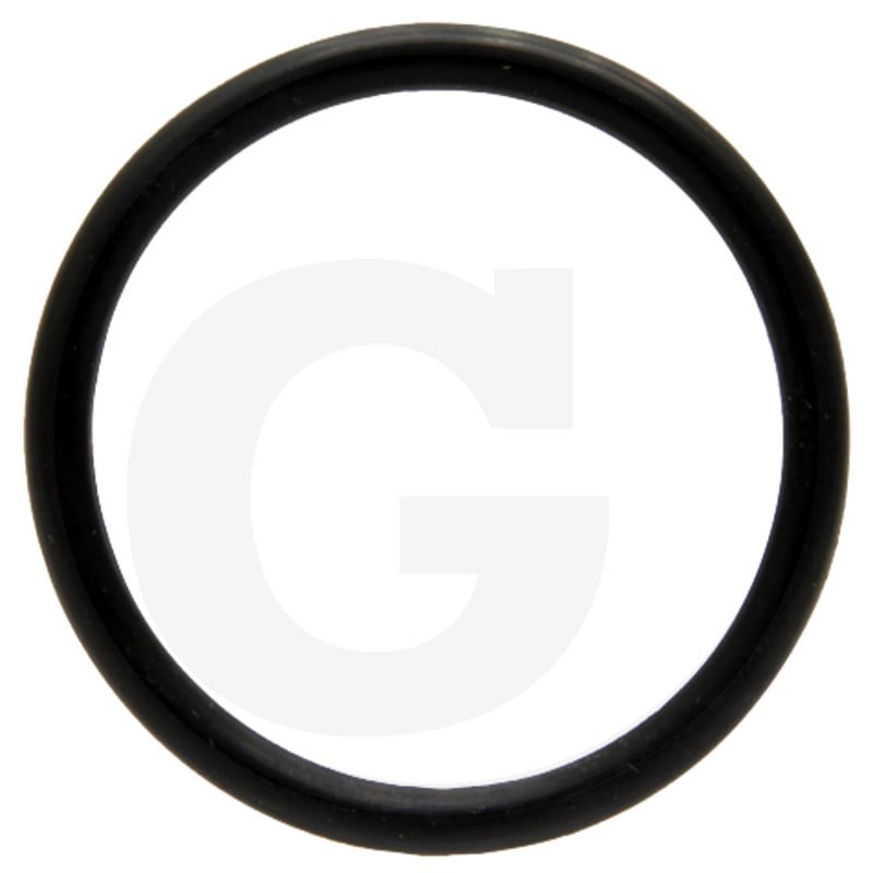 Holder Pierścień uszczelniający 475014754