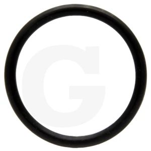 Holder Pierścień uszczelniający 475014754
