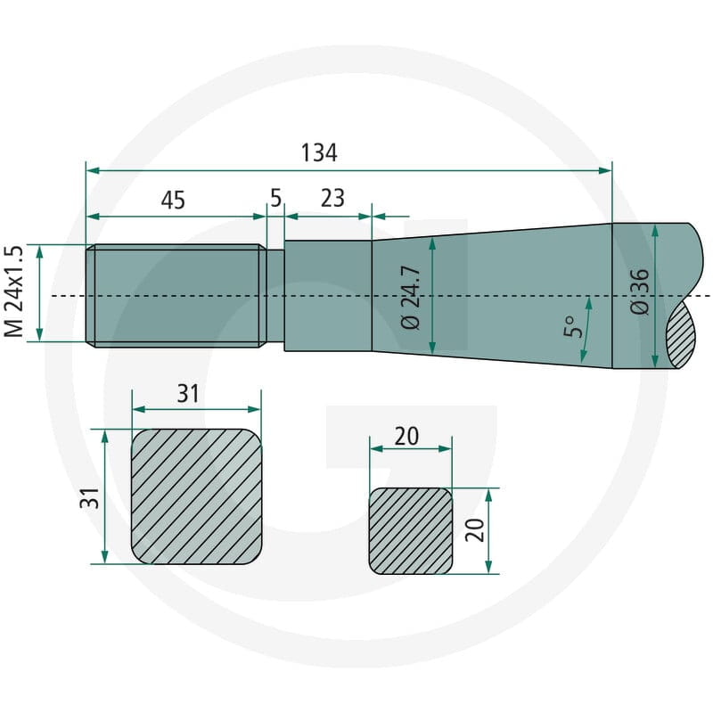 SHW Ząb 43008302402 - Sklep PoltechParts